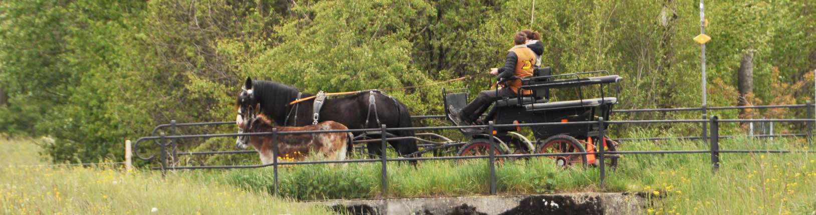 Ein Pärchen fährt mit einem Kutschgespann über eine Brücke daneben läuft ein Esel mit