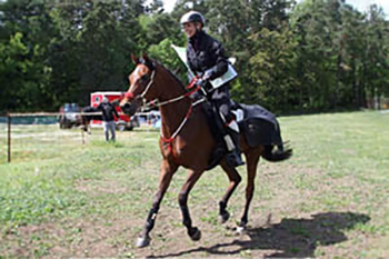 Landesmeister Distanzreiten 2017 - Endurance Team Elbflorenz