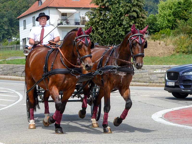 eine Kutsche im Straßenverkehr