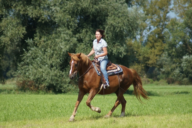 Duplos an der Donau