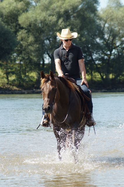 Rider with cowboy hat riding through a river on a dark brown horse