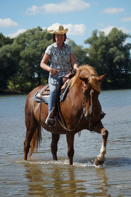 female rider rides through the Danube near Passau