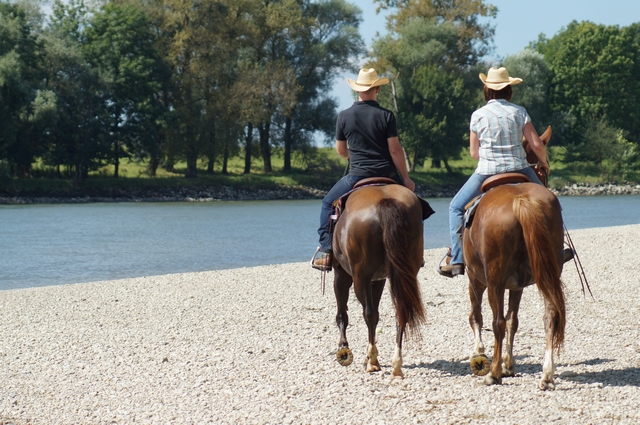 Duplos an der Donau