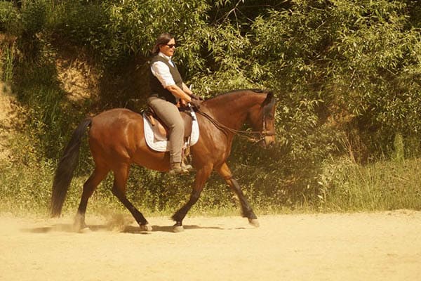 Jinete montando un Paso Fino en la pista de arena.