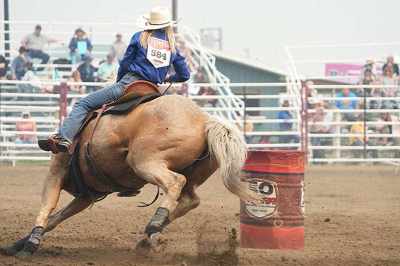 le cheval est monté autour d'un tonneau rouge lors de la barrel race