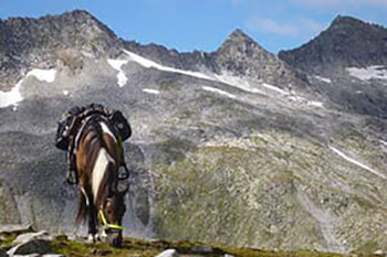 Un caballo ensillado con alforjas pasta delante de una cordillera.