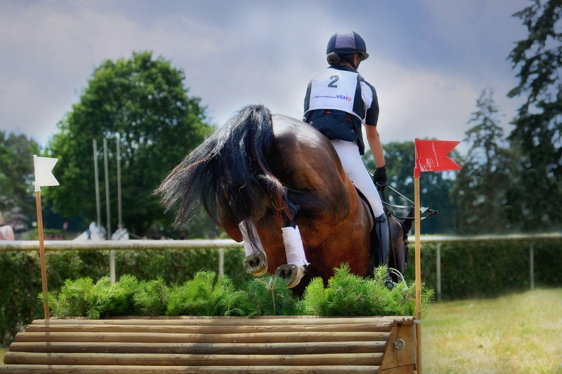 a horse jumps over an obstacle at a show jumping competition, you can see the hind hooves shod with alternative horseshoes