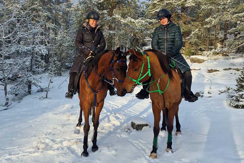 les cavalières de Stockholm Endurance chevauchent leurs chevaux dans la neige en hiver