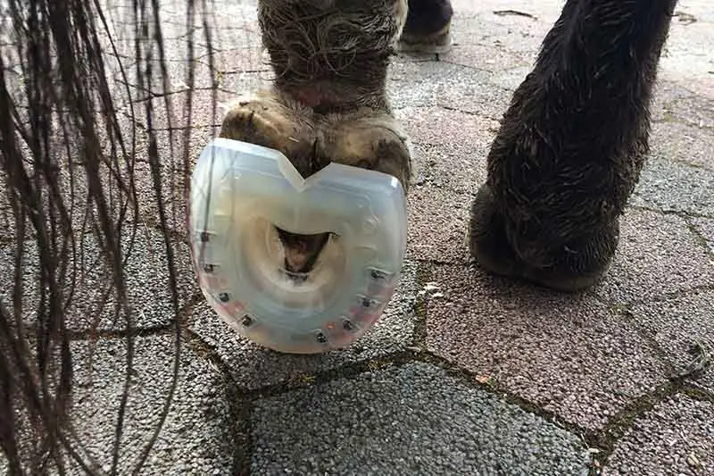 Horseshoes with modified plastic bridge