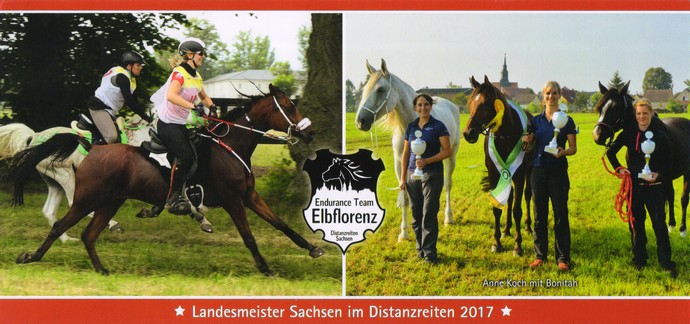 Endurance State Champion of Saxony 2017- Endurance Team Elbflorenz