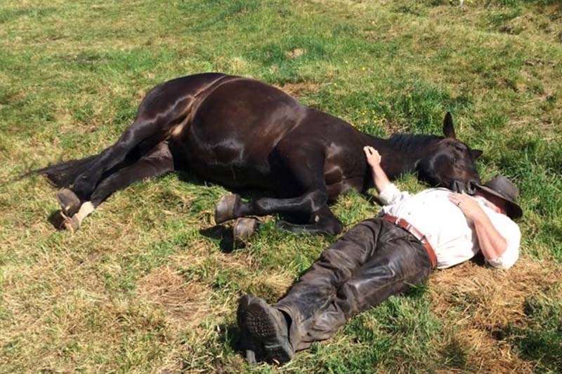 horse and owner are lying side by side in the meadow