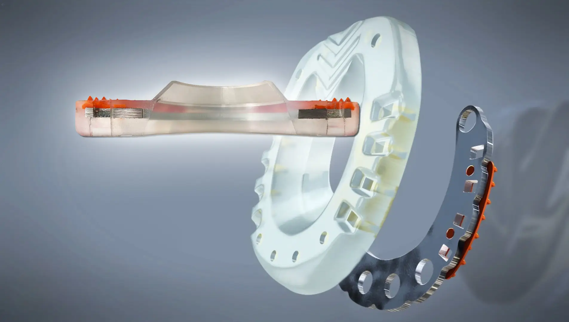 cross-section of a composite shoe - metal core and plastic coating