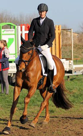 Cavalière et cheval dans un carré de dressage