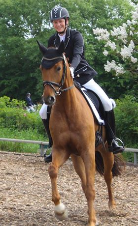 Cavalière et cheval dans un carré de dressage